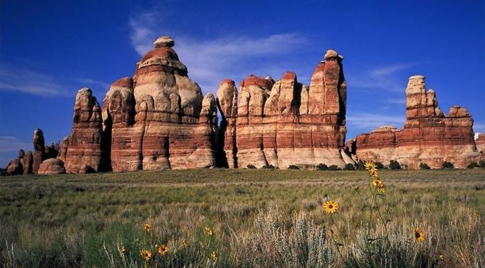 644677_101221750034016_645586442_n