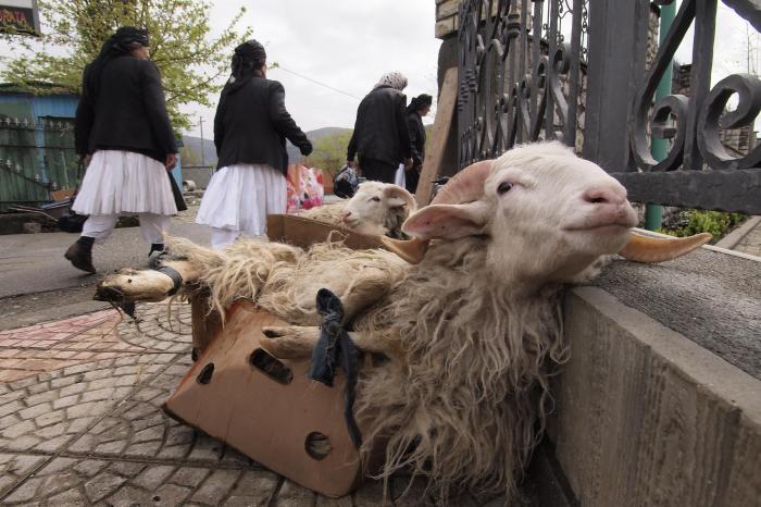 Questa immagine ha l'attributo alt vuoto; il nome del file è albania.jpg